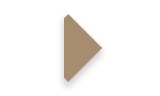 Play Audio / Video Play Audio / Video